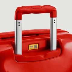 Crash-Baggage_luggage_Icon_The-Standard_Detail_01