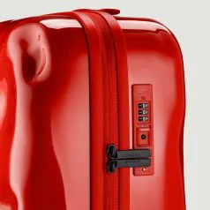 Crash-Baggage_luggage_Icon_The-Standard_Detail_02